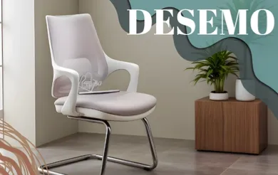 Desemo Misafir Ve Bekleme Koltuğu (Açık Gri)