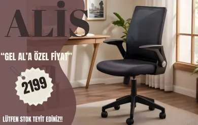 Alis Plastik Ayaklı Hareketli Kollu Çalışma Koltuğu (Siyah Fileli)
