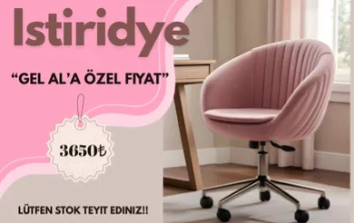 İstiridye krom Ayaklı Çalışma Koltuğu (Pembe Kumaş)
