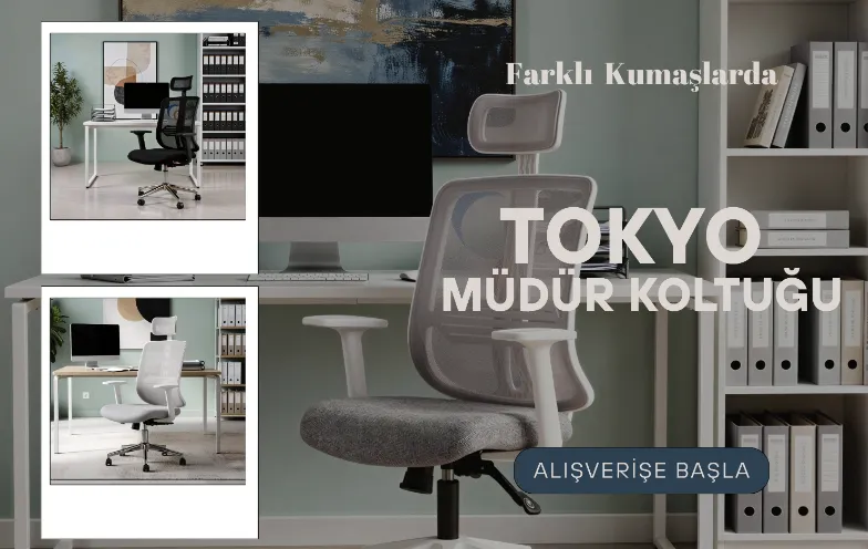 Tokyo Beyaz Ayaklı Sabit Kollu Müdür ve  Ofis  Koltuğu ( Açık Gri File)